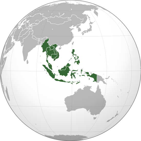 Sassafras Tree in Southeast Asia