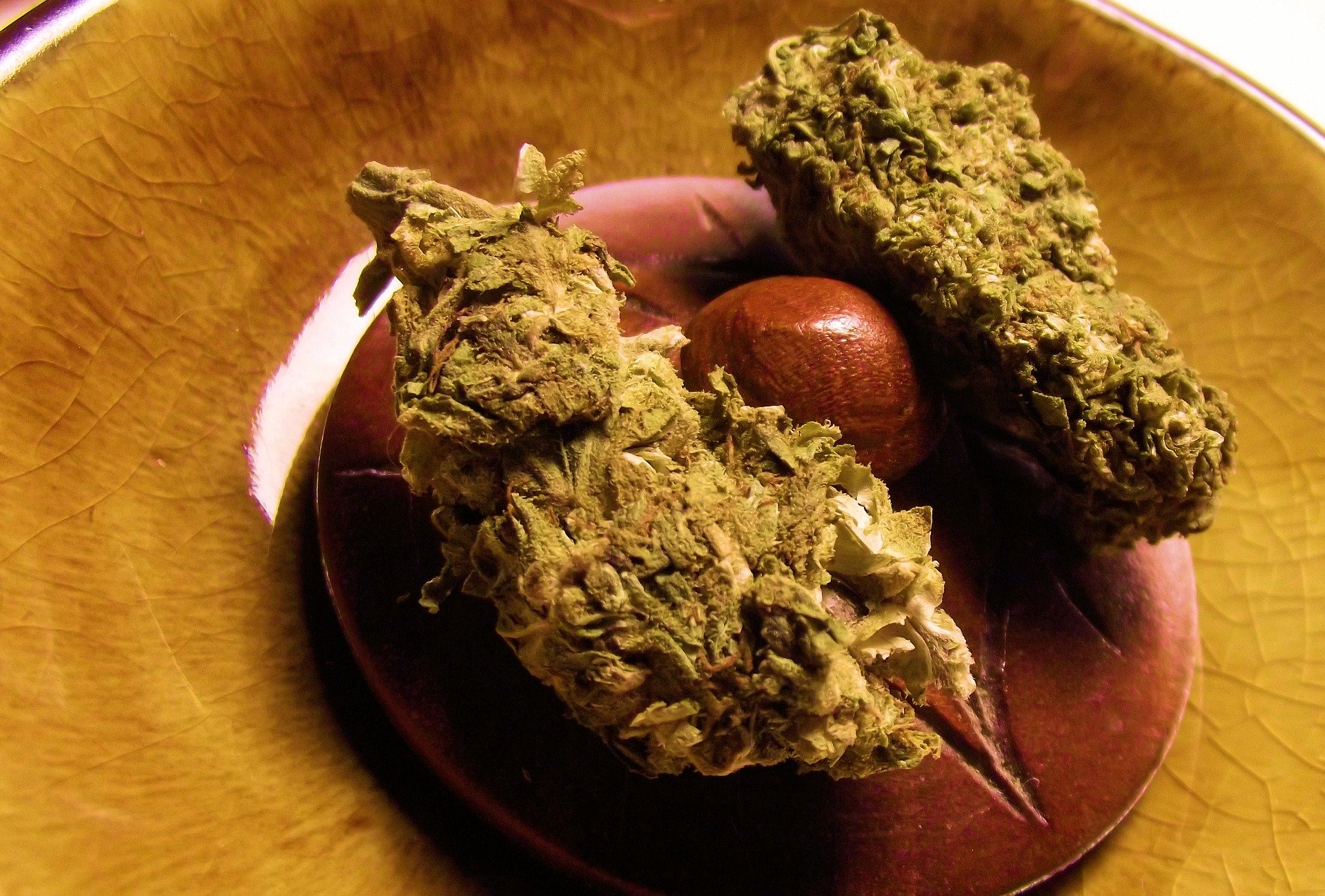 Medical Marijuana Patients Question Legalization Measures