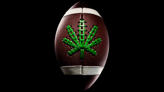 Ryan Clark Admits NFL Players use Marijuana
