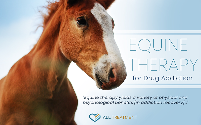 Equine Therapy Alcohol And Drug Rehab Centers