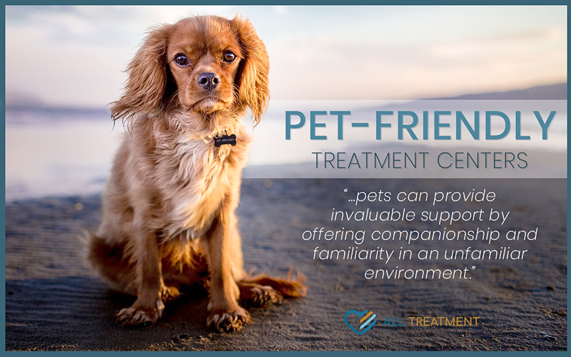 Pet-Friendly Alcohol And Drug Rehab Centers