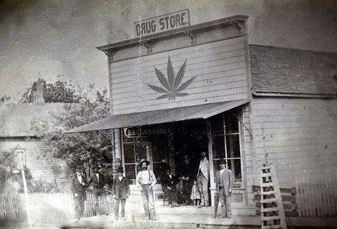 The Grass is Always Greener: California’s Cannabis History