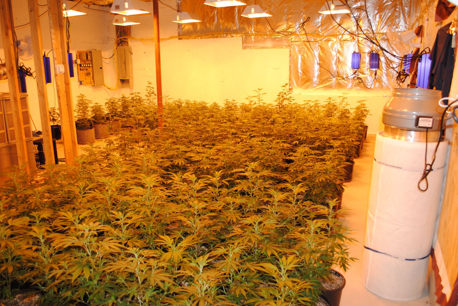 Not So “Green”: The Environmental Impact of Indoor Marijuana Grow Houses