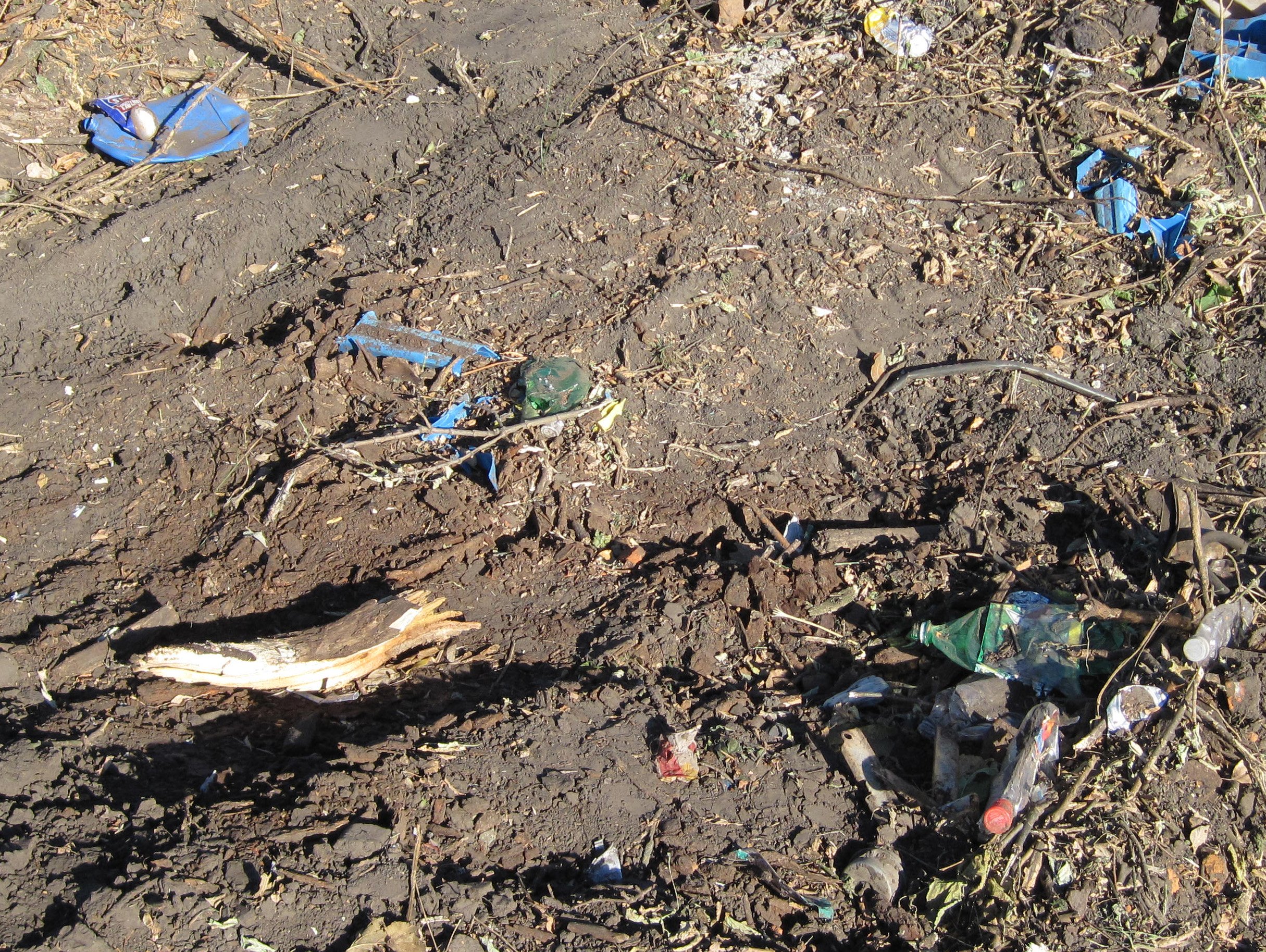 2015 Drug Trends in Iowa